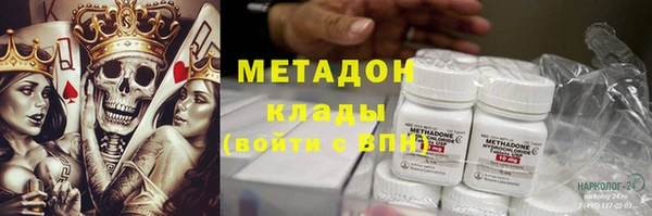 сатива Алзамай