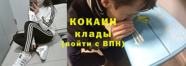 сатива Алзамай