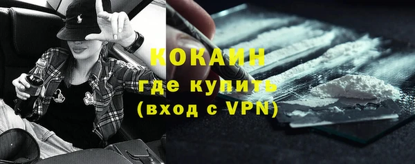 твердый Алексин