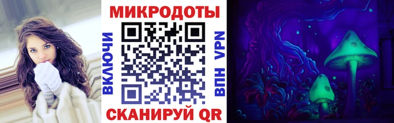 блэк спрут как войти  цена наркотик  Ардатов  Галлюциногенные грибы мицелий 